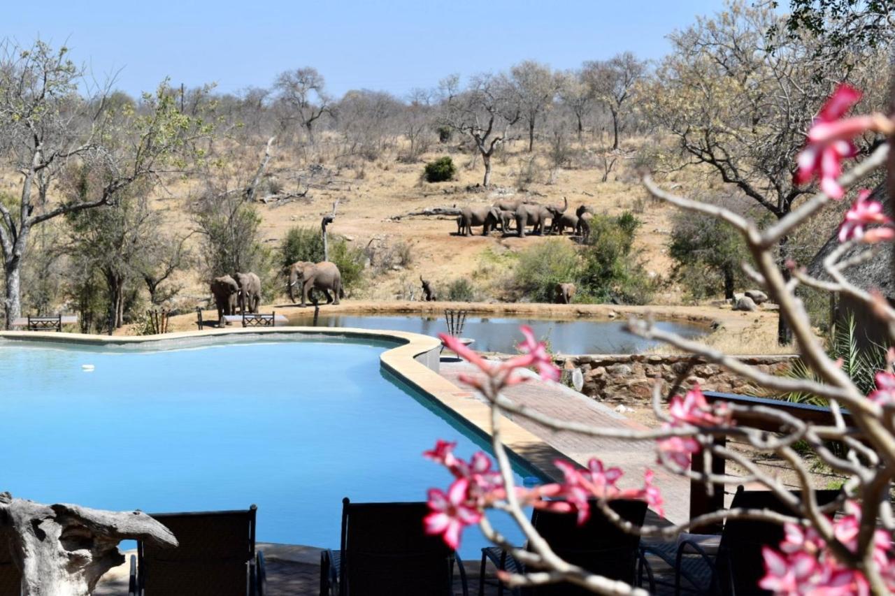 Milima Big 5 Safari Lodge Hoedspruit Ngoại thất bức ảnh