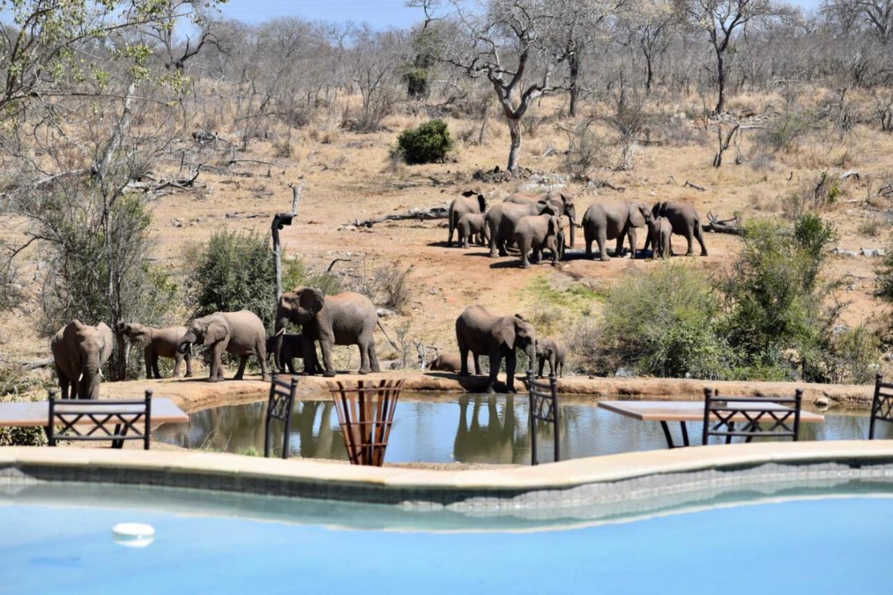 Milima Big 5 Safari Lodge Hoedspruit Ngoại thất bức ảnh