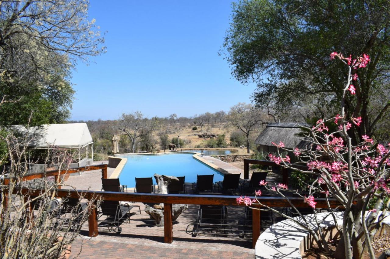 Milima Big 5 Safari Lodge Hoedspruit Ngoại thất bức ảnh