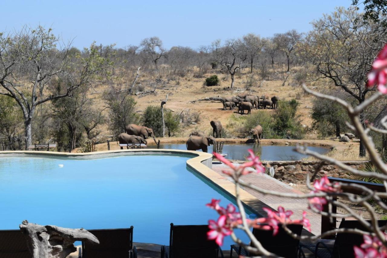 Milima Big 5 Safari Lodge Hoedspruit Ngoại thất bức ảnh