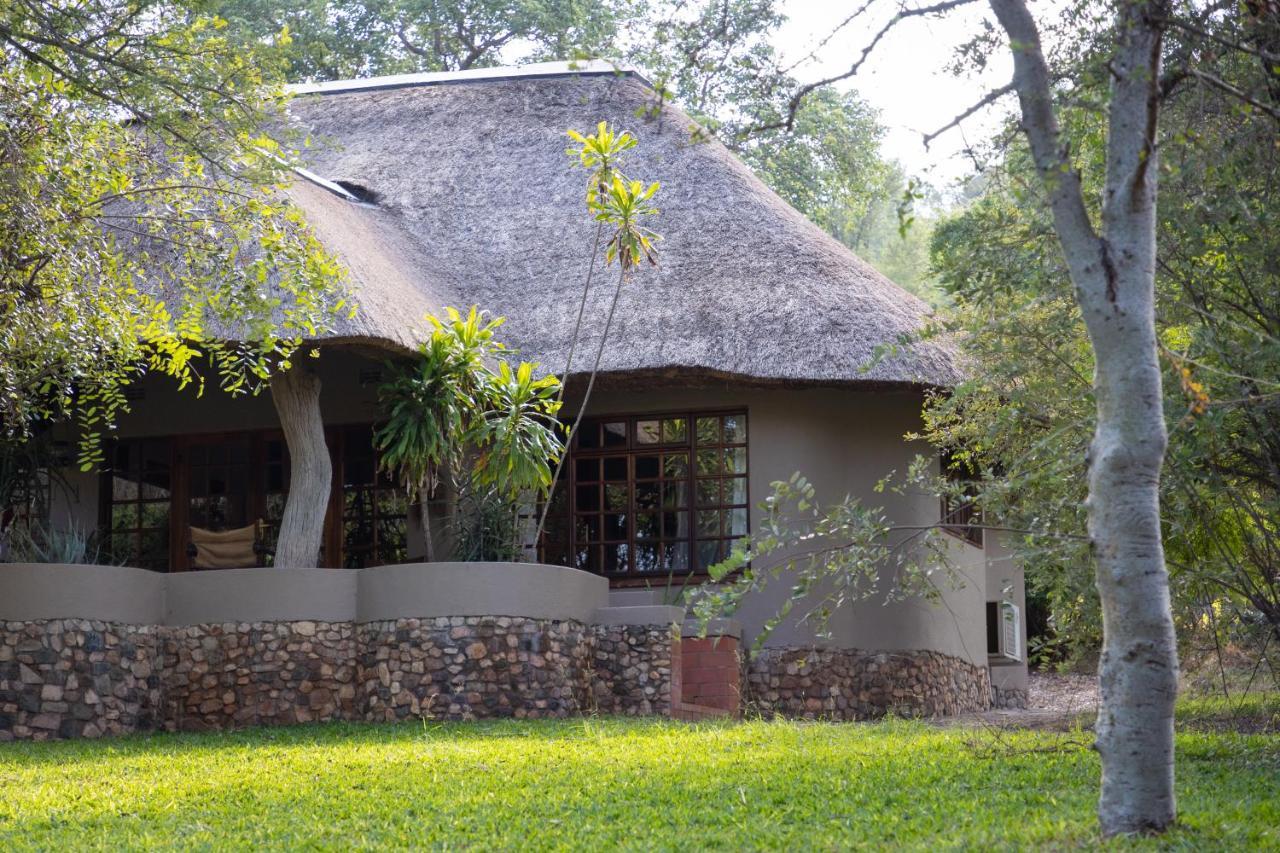 Milima Big 5 Safari Lodge Hoedspruit Ngoại thất bức ảnh